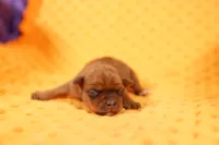 processed/2591c545-fb02-4cb5-b864-def449bf5d1b/listing/b65787c0-fd07-4189-ad58-29a6f8978f1a/93bac571-96a9-40d7-9135-219afea842cc