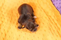 processed/2591c545-fb02-4cb5-b864-def449bf5d1b/listing/b7733e04-9611-4a0e-b0d7-7707d8f5bee9/d17b5b0d-2f9c-4329-b53f-bfbeaff9685f