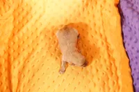 processed/2591c545-fb02-4cb5-b864-def449bf5d1b/listing/c4a1ad96-feaa-40a4-a567-10a1c9306b69/a16f86bd-0e67-4317-994d-d5c0093d0fad