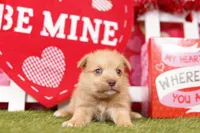 processed/2591c545-fb02-4cb5-b864-def449bf5d1b/listing/c4a1ad96-feaa-40a4-a567-10a1c9306b69/bf33e54a-ebc8-46f8-8580-eb859df511e6