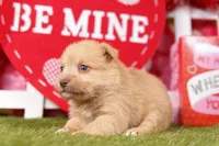 processed/2591c545-fb02-4cb5-b864-def449bf5d1b/listing/c4a1ad96-feaa-40a4-a567-10a1c9306b69/cf9ad372-e3a9-4434-bf14-705f7d605657