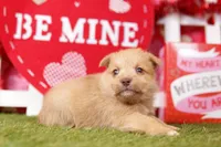 processed/2591c545-fb02-4cb5-b864-def449bf5d1b/listing/c4a1ad96-feaa-40a4-a567-10a1c9306b69/edb7820b-f39f-4409-b8e9-4e826df09d95