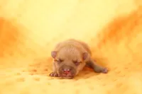 processed/2591c545-fb02-4cb5-b864-def449bf5d1b/listing/c4a1ad96-feaa-40a4-a567-10a1c9306b69/f703b608-9c1a-42ae-aa64-e0211dc50c37