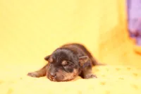 processed/2591c545-fb02-4cb5-b864-def449bf5d1b/listing/c79662fb-3ee8-4d49-bb47-4b3a16cc23fe/456542be-ceb0-42b9-891b-9cfdf7b3196d