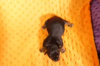 processed/2591c545-fb02-4cb5-b864-def449bf5d1b/listing/c79662fb-3ee8-4d49-bb47-4b3a16cc23fe/9f4e9f56-9734-43d3-ac7f-9740df5114a6