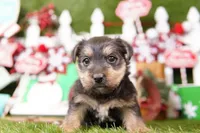 processed/2591c545-fb02-4cb5-b864-def449bf5d1b/listing/c79662fb-3ee8-4d49-bb47-4b3a16cc23fe/bba9df68-ea81-464d-be1e-5d959145938d