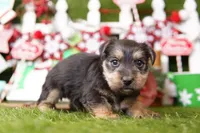 processed/2591c545-fb02-4cb5-b864-def449bf5d1b/listing/c79662fb-3ee8-4d49-bb47-4b3a16cc23fe/e4a1c8ab-97c2-4601-9ee8-faf5e2887f89