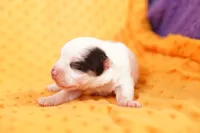 processed/2591c545-fb02-4cb5-b864-def449bf5d1b/listing/e6182547-dd2b-4f6b-8324-5bb5b21c749f/14b35272-f961-490e-aa6e-4bedaca89201