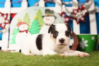 processed/2591c545-fb02-4cb5-b864-def449bf5d1b/listing/e6182547-dd2b-4f6b-8324-5bb5b21c749f/52522f38-c9ed-4e9e-bfce-23a61253e974