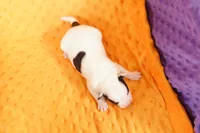 processed/2591c545-fb02-4cb5-b864-def449bf5d1b/listing/e6182547-dd2b-4f6b-8324-5bb5b21c749f/846e7d76-10cc-4577-8e37-4782aaed5298