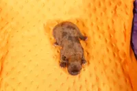 processed/2591c545-fb02-4cb5-b864-def449bf5d1b/listing/e6697d50-7b76-4335-a556-e19e18ea3c0d/13f57291-0227-42b2-9c97-2cc2b2b4ee5f