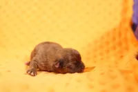 processed/2591c545-fb02-4cb5-b864-def449bf5d1b/listing/e6697d50-7b76-4335-a556-e19e18ea3c0d/732ec96f-2c16-4db2-b3a4-61e6d7c660ca