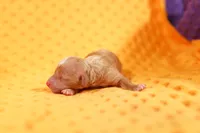 processed/2591c545-fb02-4cb5-b864-def449bf5d1b/listing/e6fddf24-c00b-48fa-b592-4d4780bb6d75/46d135c8-7b97-477f-ba84-8d94c8d51378