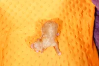 processed/2591c545-fb02-4cb5-b864-def449bf5d1b/listing/e6fddf24-c00b-48fa-b592-4d4780bb6d75/582c87b2-fc78-41bc-a2fd-00dc5aa435cd