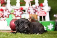 processed/2591c545-fb02-4cb5-b864-def449bf5d1b/listing/eeca9e39-9072-43fb-be75-0f7644e133f3/a0a87942-99d3-45d0-840c-d4610b2d3eaa