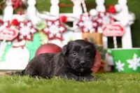 processed/2591c545-fb02-4cb5-b864-def449bf5d1b/listing/eeca9e39-9072-43fb-be75-0f7644e133f3/e50f9682-dcb3-40b7-b328-f4b25a2ae4cc