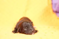 processed/2591c545-fb02-4cb5-b864-def449bf5d1b/listing/eeca9e39-9072-43fb-be75-0f7644e133f3/f95933c0-8c92-46b9-b472-ac0fdb5c8271