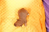 processed/2591c545-fb02-4cb5-b864-def449bf5d1b/listing/eee6bdf8-9c7b-448f-a299-1039a16def37/077b6e1f-7e63-4e22-8821-e6a4012e6fbe