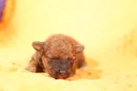 processed/2591c545-fb02-4cb5-b864-def449bf5d1b/listing/eee6bdf8-9c7b-448f-a299-1039a16def37/fff2453b-14d8-49ad-ab8e-4c7af32611d3