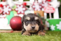 processed/2591c545-fb02-4cb5-b864-def449bf5d1b/listing/f27cb0df-65a1-405a-835c-55cee4488951/12ca4d6f-8b66-4ee5-a9f0-91969dd75b84