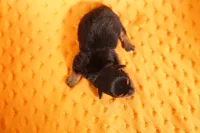 processed/2591c545-fb02-4cb5-b864-def449bf5d1b/listing/f27cb0df-65a1-405a-835c-55cee4488951/42b33164-8114-4831-b449-3fdb29b7ae2a