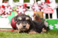 processed/2591c545-fb02-4cb5-b864-def449bf5d1b/listing/f27cb0df-65a1-405a-835c-55cee4488951/6415c1f2-329b-477e-a611-28c422d367e8