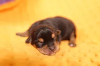 processed/2591c545-fb02-4cb5-b864-def449bf5d1b/listing/f27cb0df-65a1-405a-835c-55cee4488951/91927ebc-a0a3-412e-8426-d41514782c41