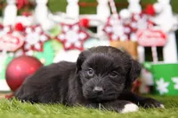 processed/2591c545-fb02-4cb5-b864-def449bf5d1b/listing/ff8e476f-db74-475c-8481-ccc3bfa8ed68/1e4f7bfc-e4dc-4607-8829-79f6ebab2f9c