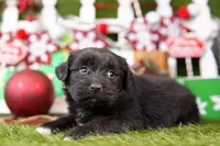 processed/2591c545-fb02-4cb5-b864-def449bf5d1b/listing/ff8e476f-db74-475c-8481-ccc3bfa8ed68/592b35c6-be0a-4e91-a3b7-6cb9b3d1fd5b