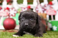 processed/2591c545-fb02-4cb5-b864-def449bf5d1b/listing/ff8e476f-db74-475c-8481-ccc3bfa8ed68/5dcbaeae-9d58-403a-9829-f155f883e7fe