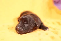 processed/2591c545-fb02-4cb5-b864-def449bf5d1b/listing/ff8e476f-db74-475c-8481-ccc3bfa8ed68/873c96c7-262c-4541-b980-473ad586c64b