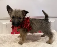 processed/2593234e-0e56-4d21-a0fa-4d1d2fece625/listing/1f5f05ed-658b-4757-a597-09e503cab8a4/1beb48c4-e665-4905-bdc3-bb797a93be35