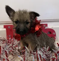 processed/2593234e-0e56-4d21-a0fa-4d1d2fece625/listing/1f5f05ed-658b-4757-a597-09e503cab8a4/3ea7d757-9451-4826-8110-e53a0274b7f8