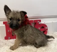 processed/2593234e-0e56-4d21-a0fa-4d1d2fece625/listing/1f5f05ed-658b-4757-a597-09e503cab8a4/a1f62aa4-20cd-4040-a8fa-73f351ac6add