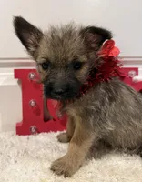 processed/2593234e-0e56-4d21-a0fa-4d1d2fece625/listing/1f5f05ed-658b-4757-a597-09e503cab8a4/d1889388-7385-4002-a495-f3fa392ef1cc