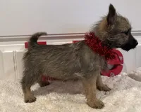 processed/2593234e-0e56-4d21-a0fa-4d1d2fece625/listing/1f5f05ed-658b-4757-a597-09e503cab8a4/e3a76107-843a-4b64-b746-16c993902c10