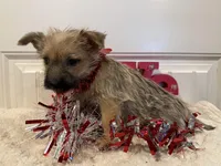 processed/2593234e-0e56-4d21-a0fa-4d1d2fece625/listing/4429bd98-dbcf-41e5-86cf-a24a78943859/4aa4a47b-504b-4ad6-9fad-902a1e22531e