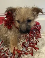 processed/2593234e-0e56-4d21-a0fa-4d1d2fece625/listing/4429bd98-dbcf-41e5-86cf-a24a78943859/5adadb48-c3d8-4547-b7d7-053af5a24e5e