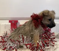 processed/2593234e-0e56-4d21-a0fa-4d1d2fece625/listing/4429bd98-dbcf-41e5-86cf-a24a78943859/9e3ddddb-c90a-4c89-a204-b4fab4a74acc