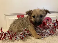 processed/2593234e-0e56-4d21-a0fa-4d1d2fece625/listing/4429bd98-dbcf-41e5-86cf-a24a78943859/c9a1fd4c-8a46-4ee6-929d-f8275a8a6c73