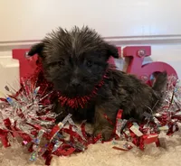 processed/2593234e-0e56-4d21-a0fa-4d1d2fece625/listing/6c739a1c-1f12-4111-8a64-0a71ab5fd4ad/ae1cc169-e1eb-4571-b82b-37252e577868