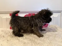 processed/2593234e-0e56-4d21-a0fa-4d1d2fece625/listing/6c739a1c-1f12-4111-8a64-0a71ab5fd4ad/cc03683c-0610-4f94-a860-c5f18f552aa3