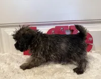 processed/2593234e-0e56-4d21-a0fa-4d1d2fece625/listing/6c739a1c-1f12-4111-8a64-0a71ab5fd4ad/ef68b82d-7399-4657-9e4e-1cfcde354cc8