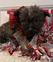 processed/2593234e-0e56-4d21-a0fa-4d1d2fece625/listing/6c739a1c-1f12-4111-8a64-0a71ab5fd4ad/f3a004c2-f398-484f-94a0-3655d34706f5