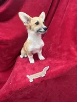 Akc Lulu, a female Pembroke Welsh Corgi for sale in Hunnewell, MO – Photo 6 of 6