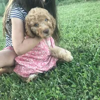 processed/25a083ed-f7ad-4f59-9cd5-8fc9dda61e60/facility/5c3c8cff-d695-40fe-b3c2-c6e6fb9d0a05