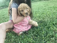 processed/25a083ed-f7ad-4f59-9cd5-8fc9dda61e60/facility/5c3c8cff-d695-40fe-b3c2-c6e6fb9d0a05