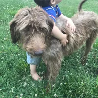 processed/25a083ed-f7ad-4f59-9cd5-8fc9dda61e60/facility/6f084323-5626-4761-8faf-8a282d94c047