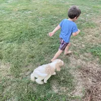 processed/25a083ed-f7ad-4f59-9cd5-8fc9dda61e60/facility/89c25e25-220e-4e14-9e9d-463befa42619