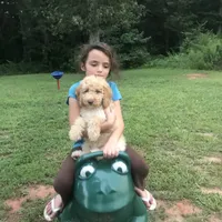 processed/25a083ed-f7ad-4f59-9cd5-8fc9dda61e60/facility/9a42ac8c-5c1c-4629-b619-7ff954d89d6a